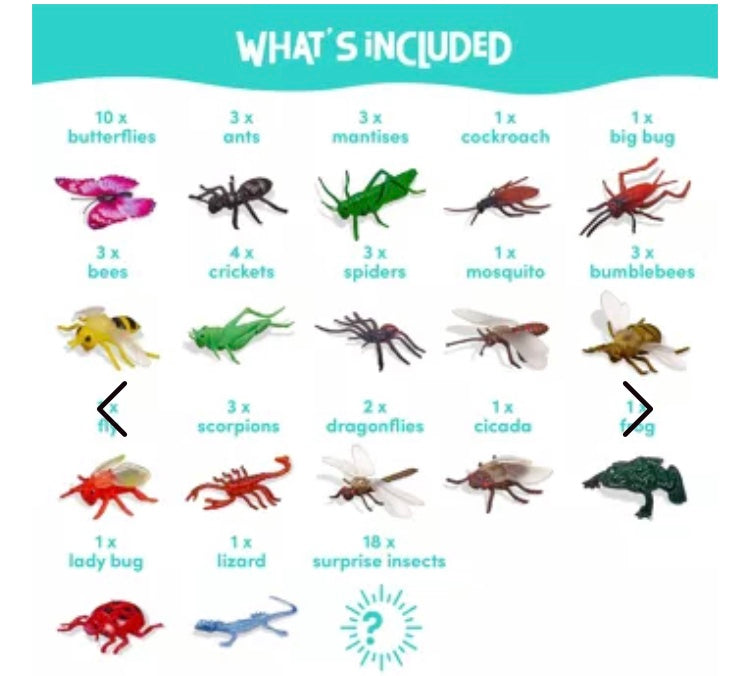 Box de 50 insectes fantastiques