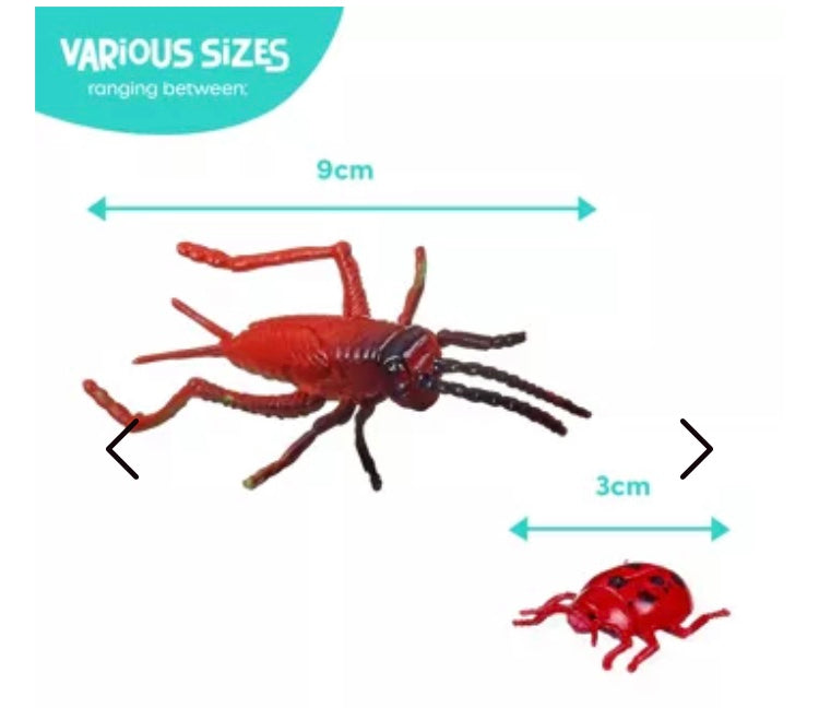 Box de 50 insectes fantastiques
