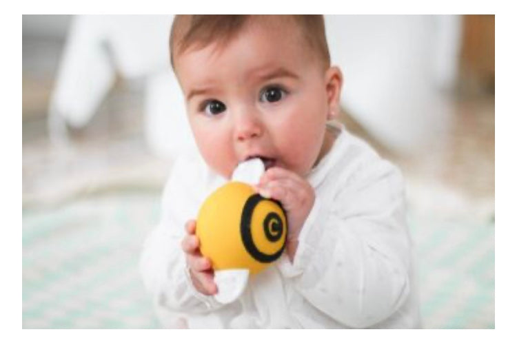 Pic l’abeille: jeux de dentition sensoriel