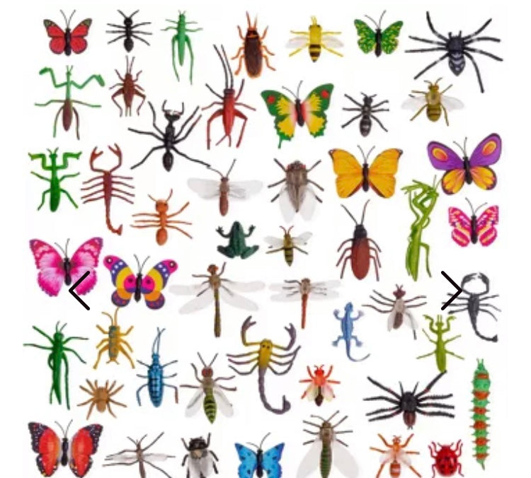 Box de 50 insectes fantastiques