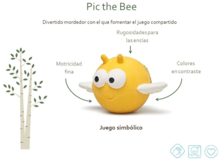Pic l’abeille: jeux de dentition sensoriel