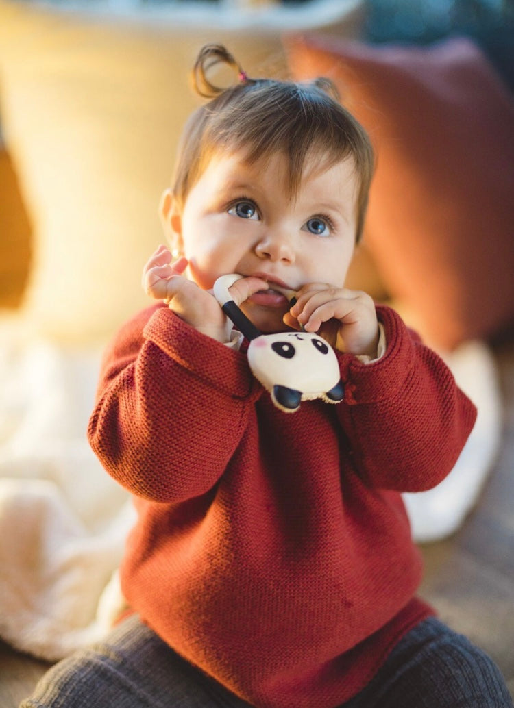 Kori the panda anneau de dentition