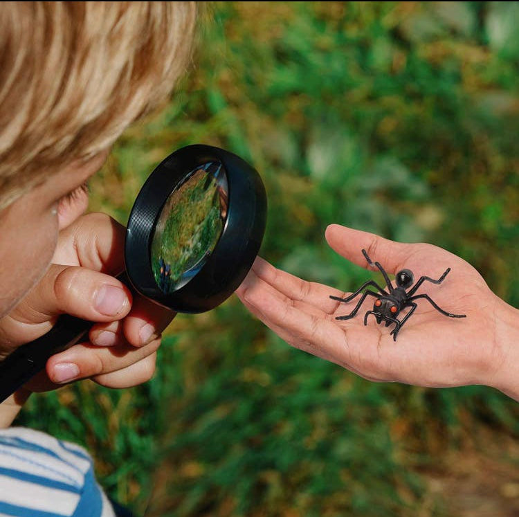 Box de 50 insectes fantastiques