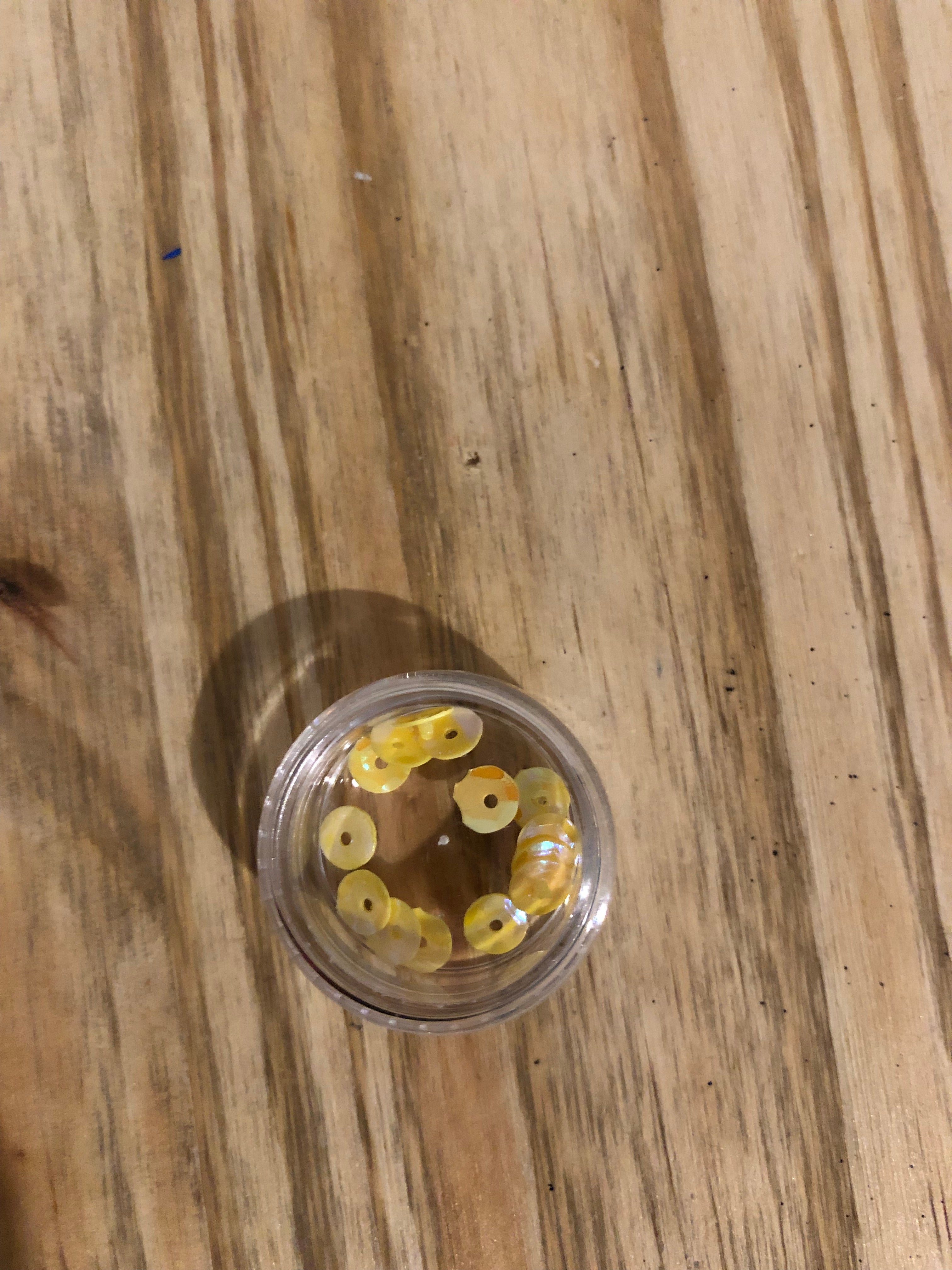 Paillettes Rondes 19