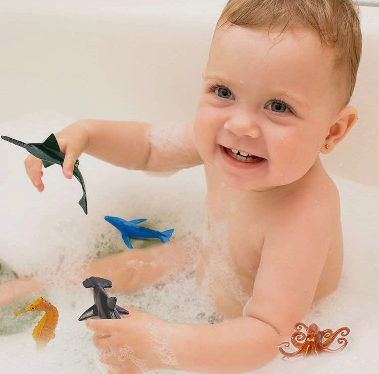 Box de 50 animaux marins