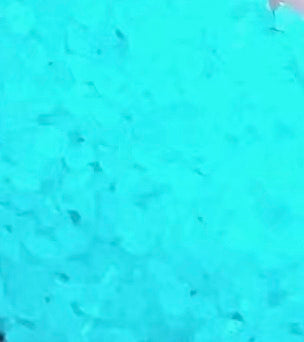 Mes pierres bleues phosphorescentes