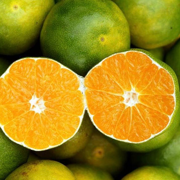 Huile essentielle mandarine verte pur essentiel