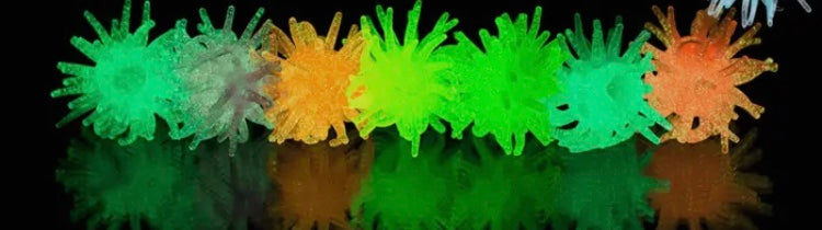Wacky window walker phosphorescent