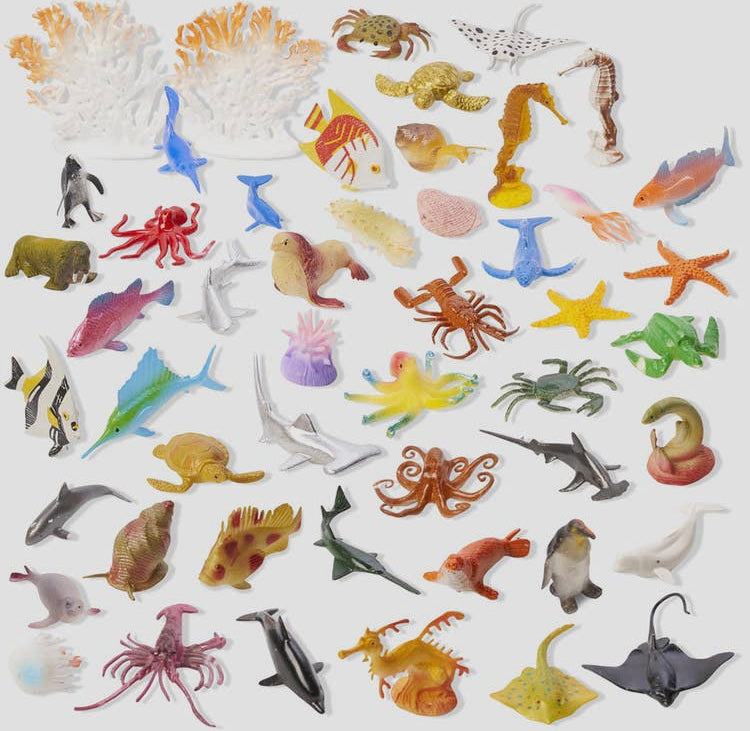 Box de 50 animaux marins
