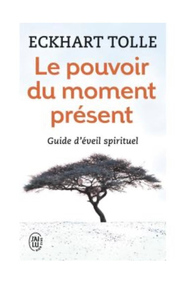 Livre: Le pouvoir du moment présent