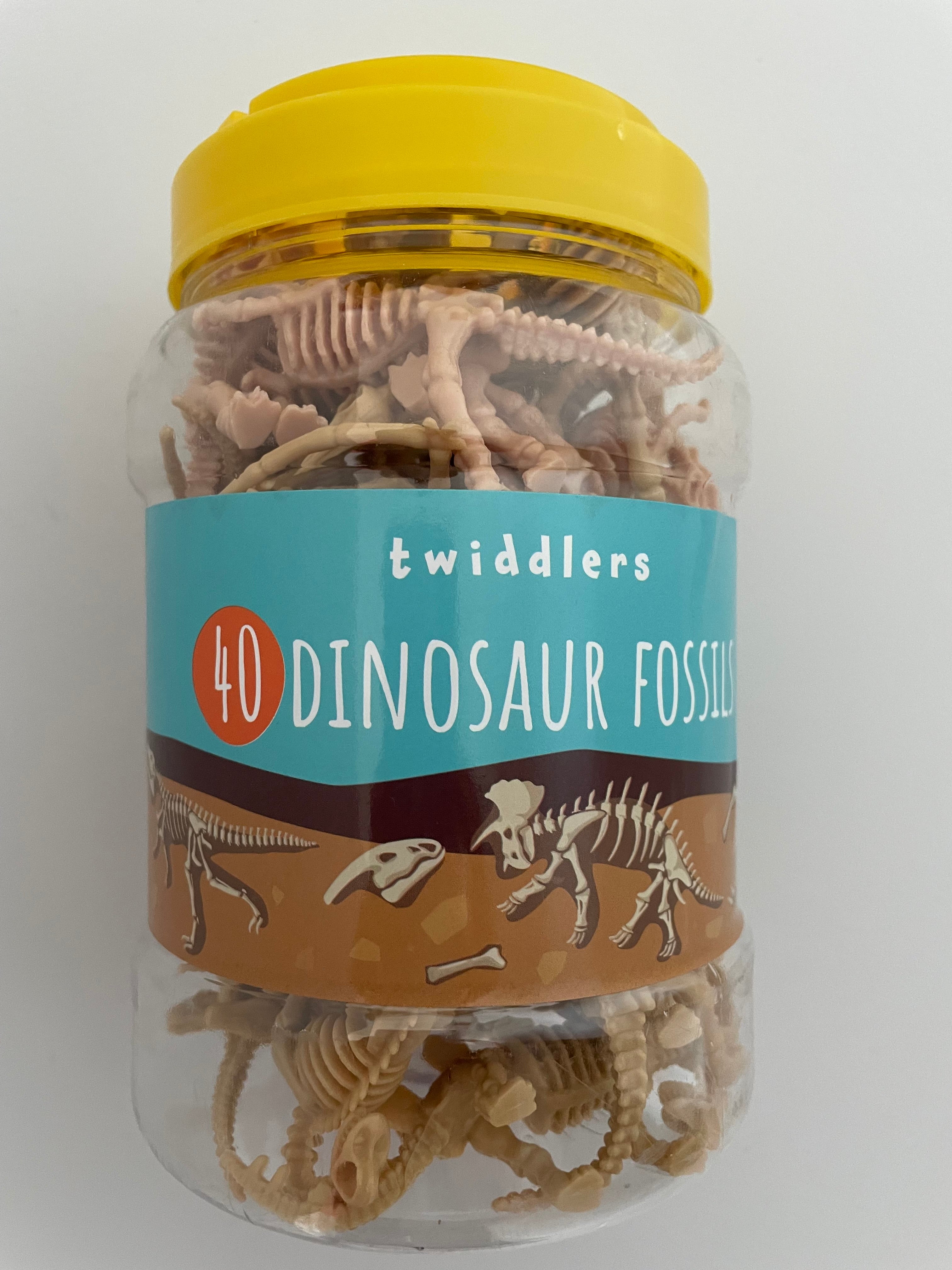Fossiles dinosaures