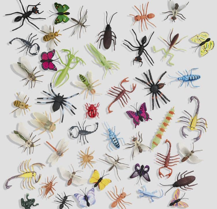 Box de 50 insectes fantastiques